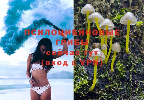 бошки Алексеевка