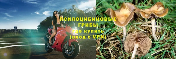 бошки Алексеевка