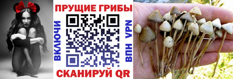 Галлюциногенные грибы мухоморы  Сарапул 