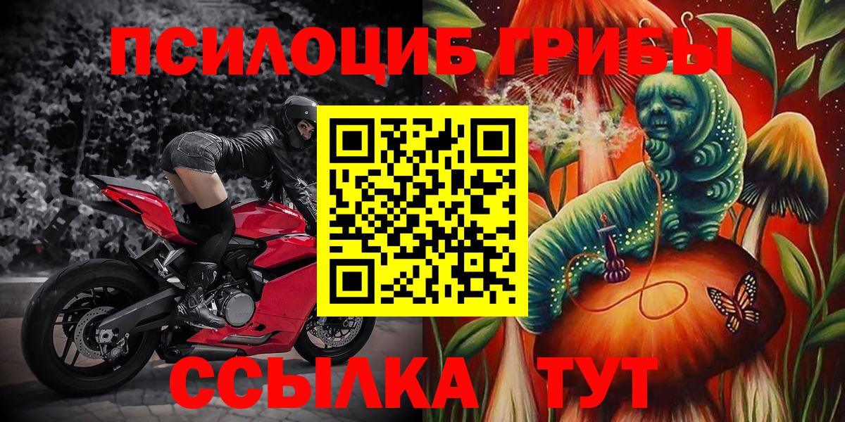 Сарапул  Псилоцибиновые грибы MAGIC MUSHROOMS  Псилоцибиновые грибы Psilocybine cubensis  Вход с VPN 